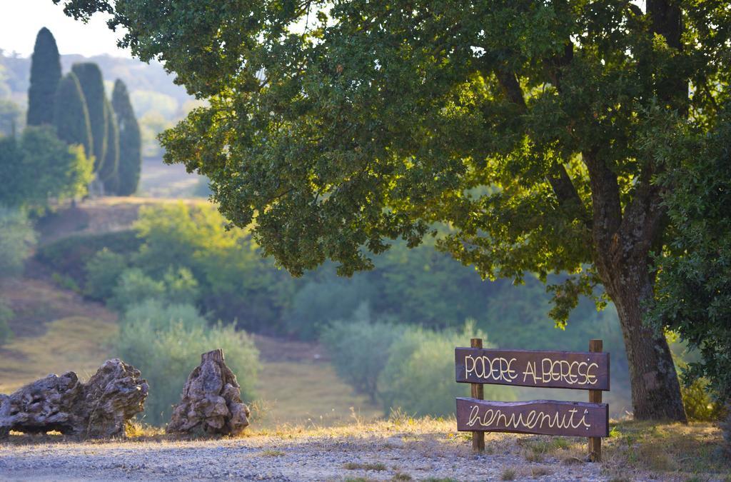 Agriturismo Podere Alberese Asciano Exterior foto