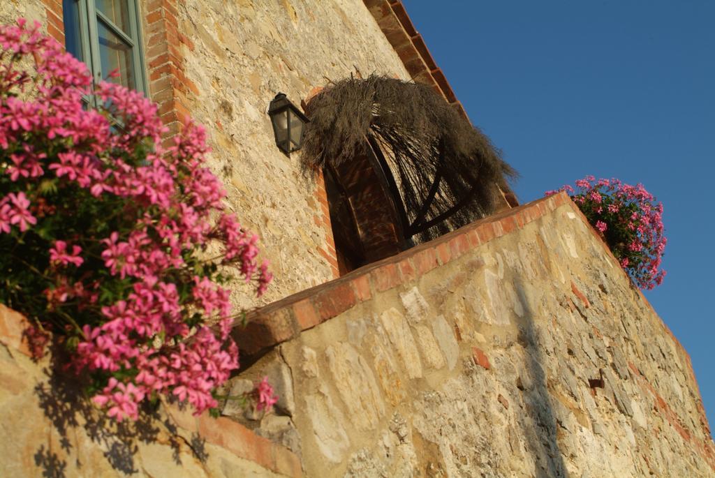 Agriturismo Podere Alberese Asciano Exterior foto