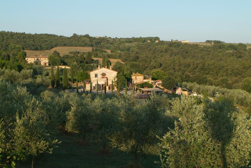 Agriturismo Podere Alberese Asciano Exterior foto